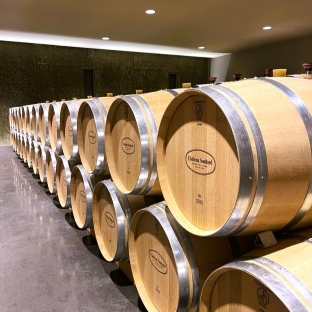 Bordeaux vineyards wine trail