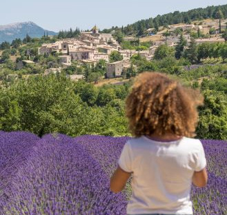 Discover the lavender fields