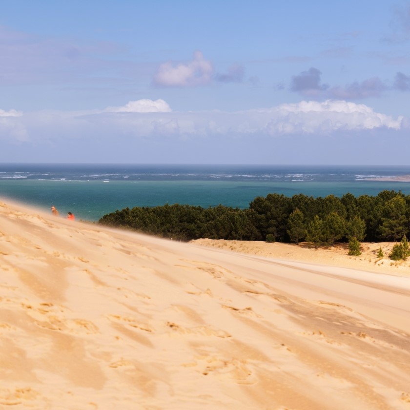 Tour de France des vins Arcachon