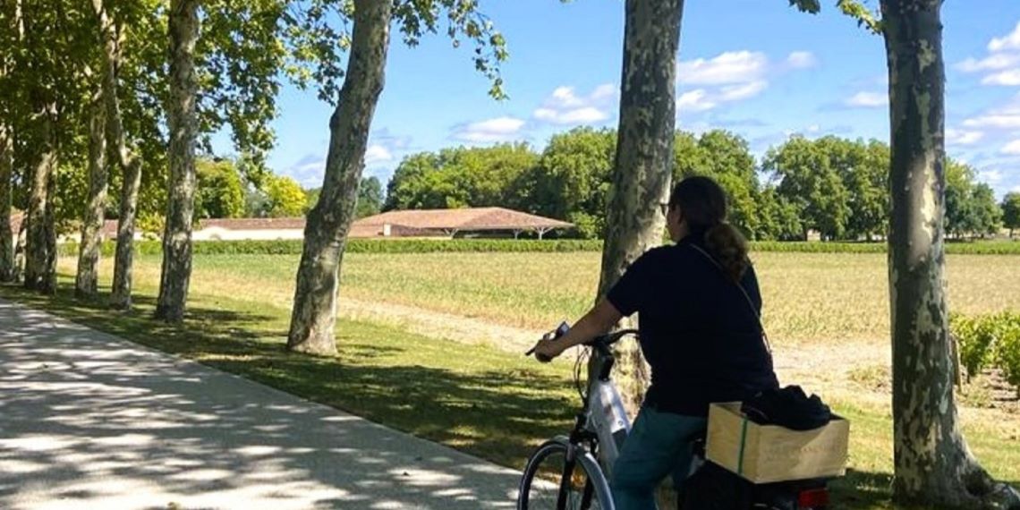 cours dégustation des vins de Bordeaux 