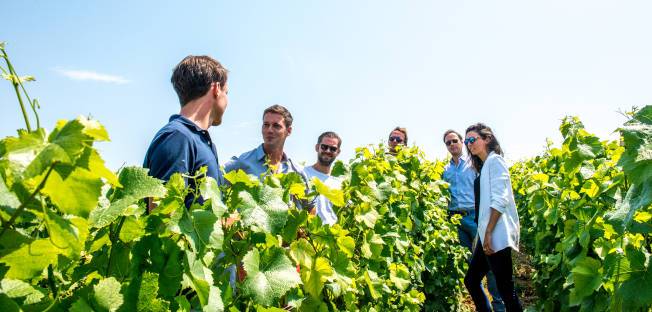 Vignobles familiales de champagne