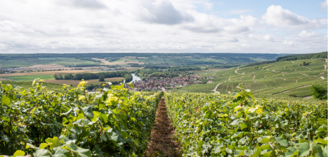 Visite guidée privée à vélo électrique en Champagne France