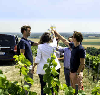 tour privée guidée vignoble champenois