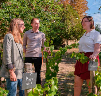 Visite guidée d'une maison de Champagne typique