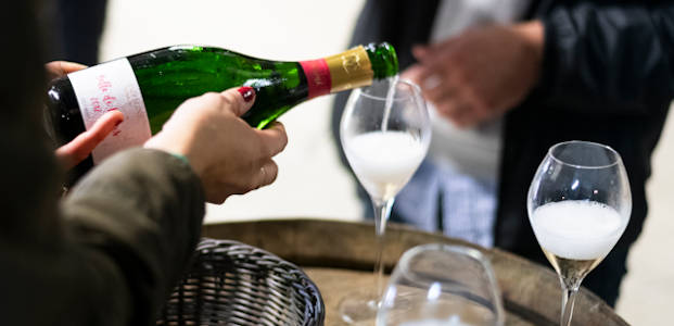 cours de dégustation de champagne