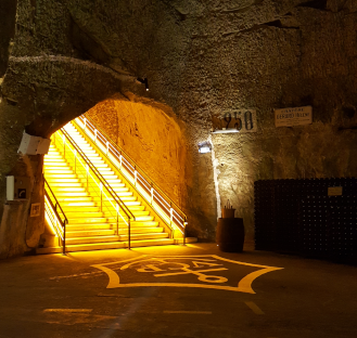 Découverte d'un authentique vigneron champenois