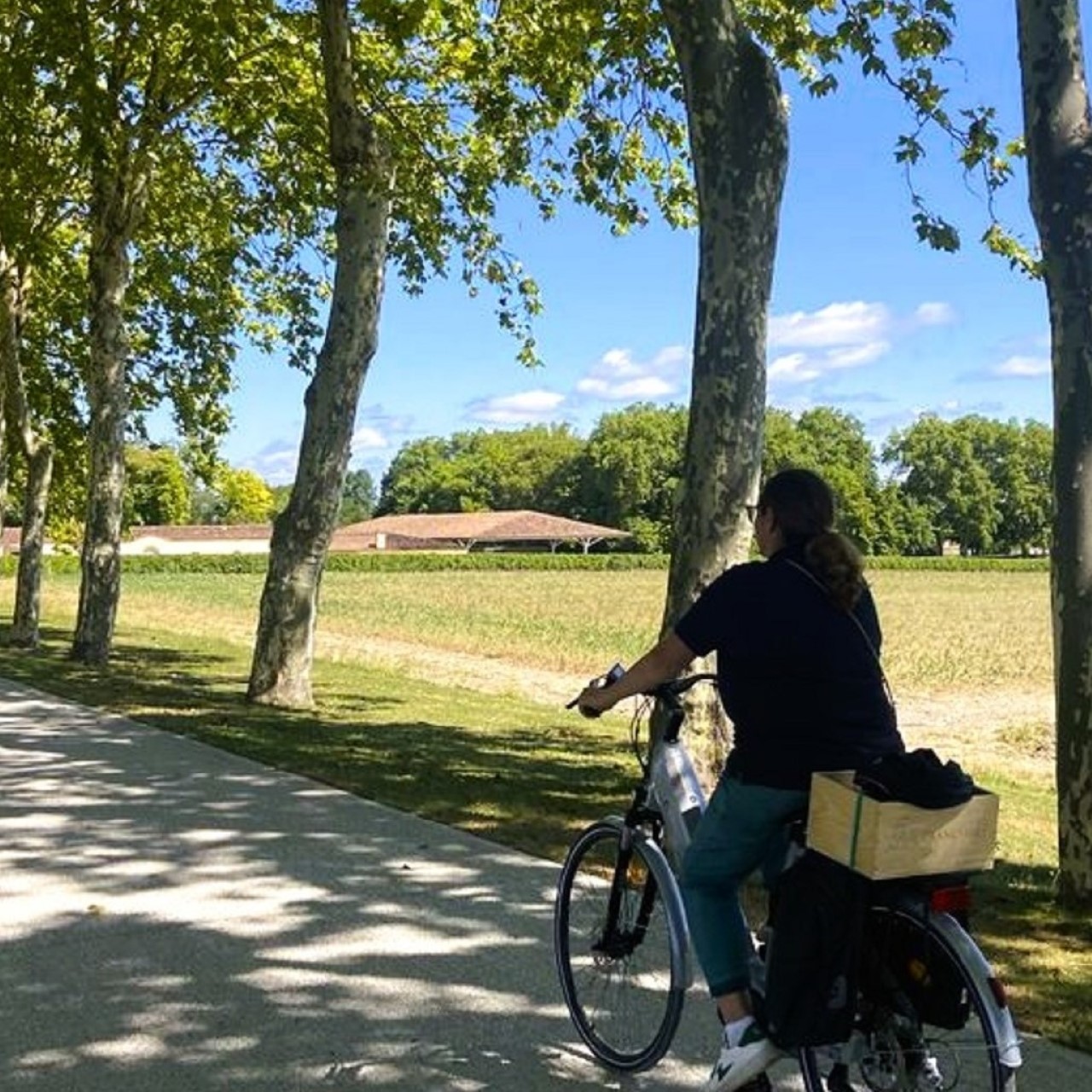Private guided electric bike tour Medoc Bordeaux