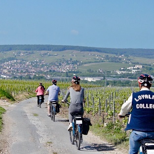 group bike