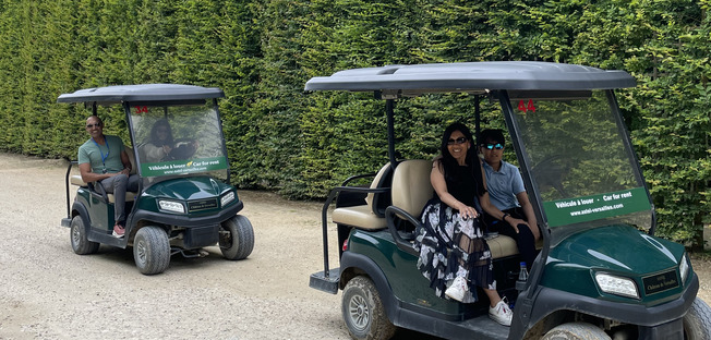 A family enjoying the golf carts of Versailles, with the maze of the royal gardens in the background