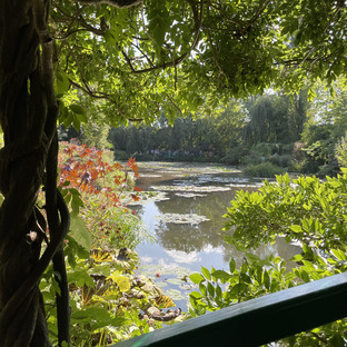 a vue from the japanese bridge in the lilies pond of monet's garden