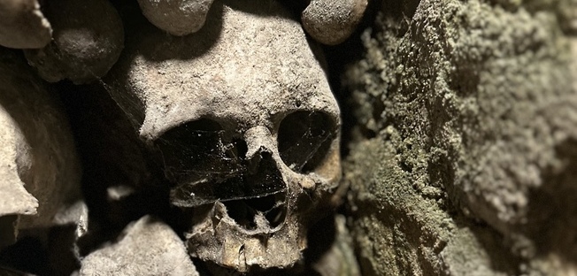 a skull next to a wall inside the catacombes of Paris with some spider web