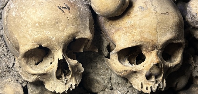 2 skulls at the entrance of the catacombes with one having the mark of Harry potter