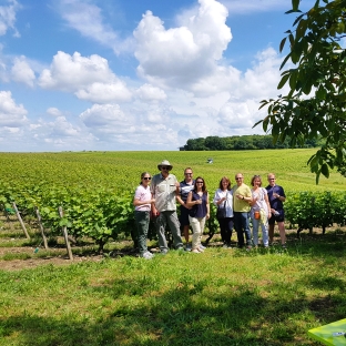 Découverte des vignoble riche de tradition et de passion