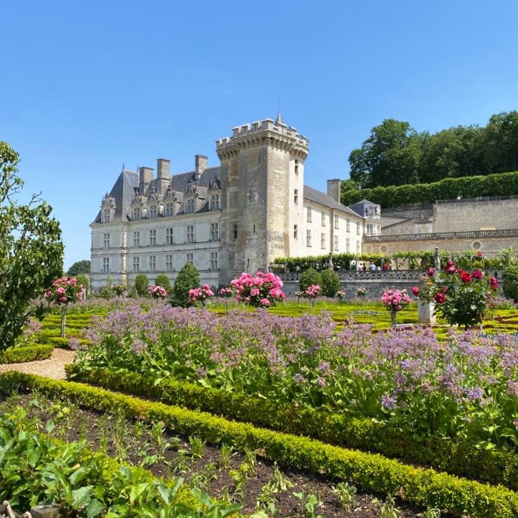 Visite du Château de Villandry et ses jardins