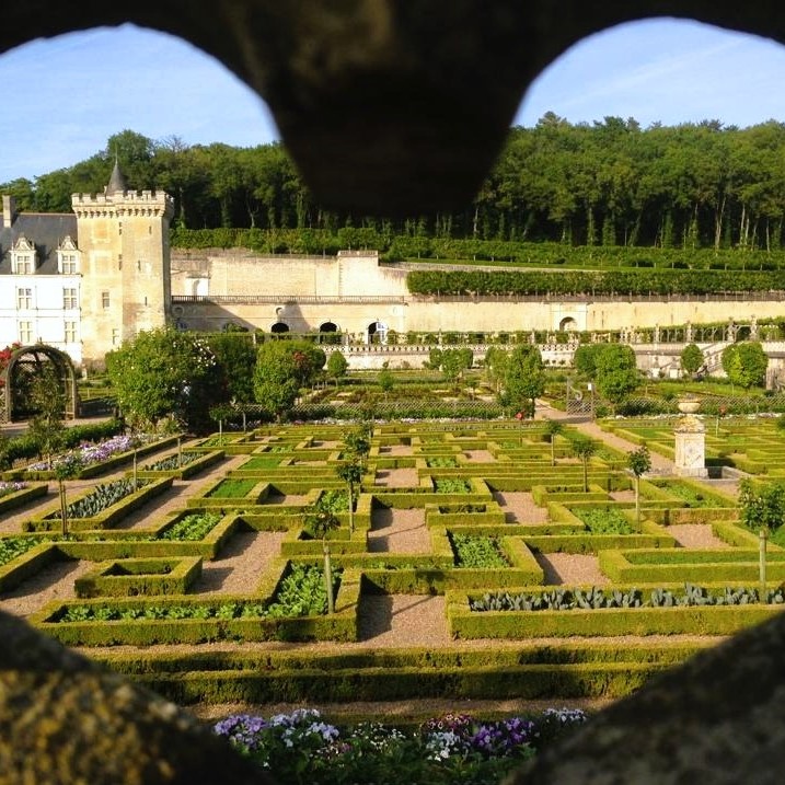 Visite des joyaux du Val de Loire