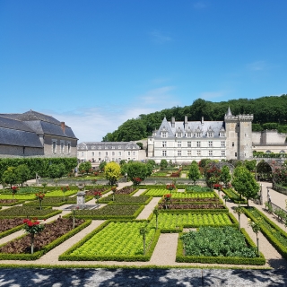 Visite de la vallée de la Loire en une matinée 