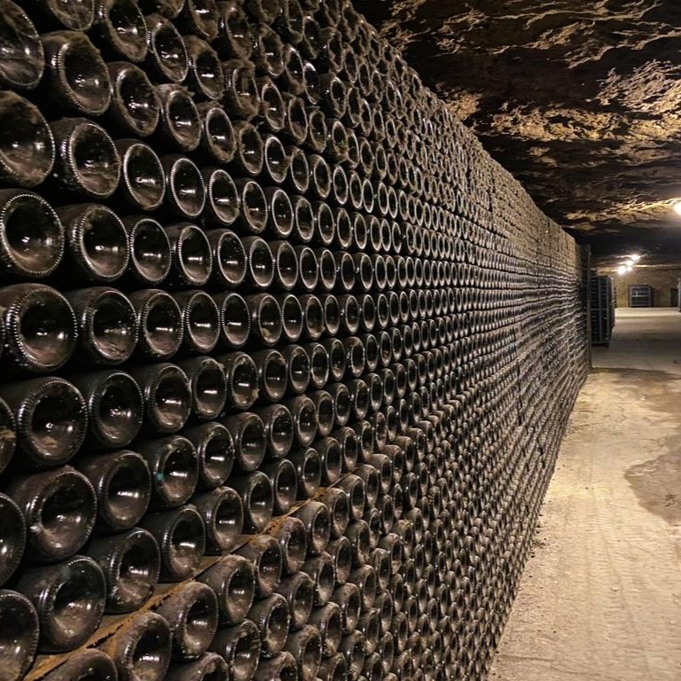 Rencontre avec les vignerons de la Vallée de la Loire