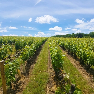 Découverte des paysages du Val de Loire