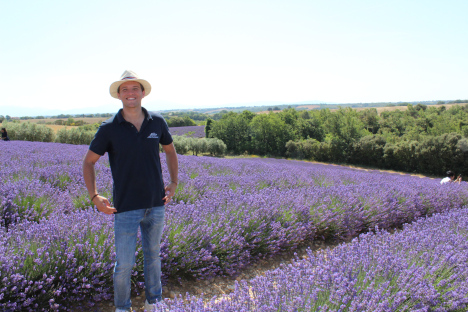 Passage chez un producteur de lavande