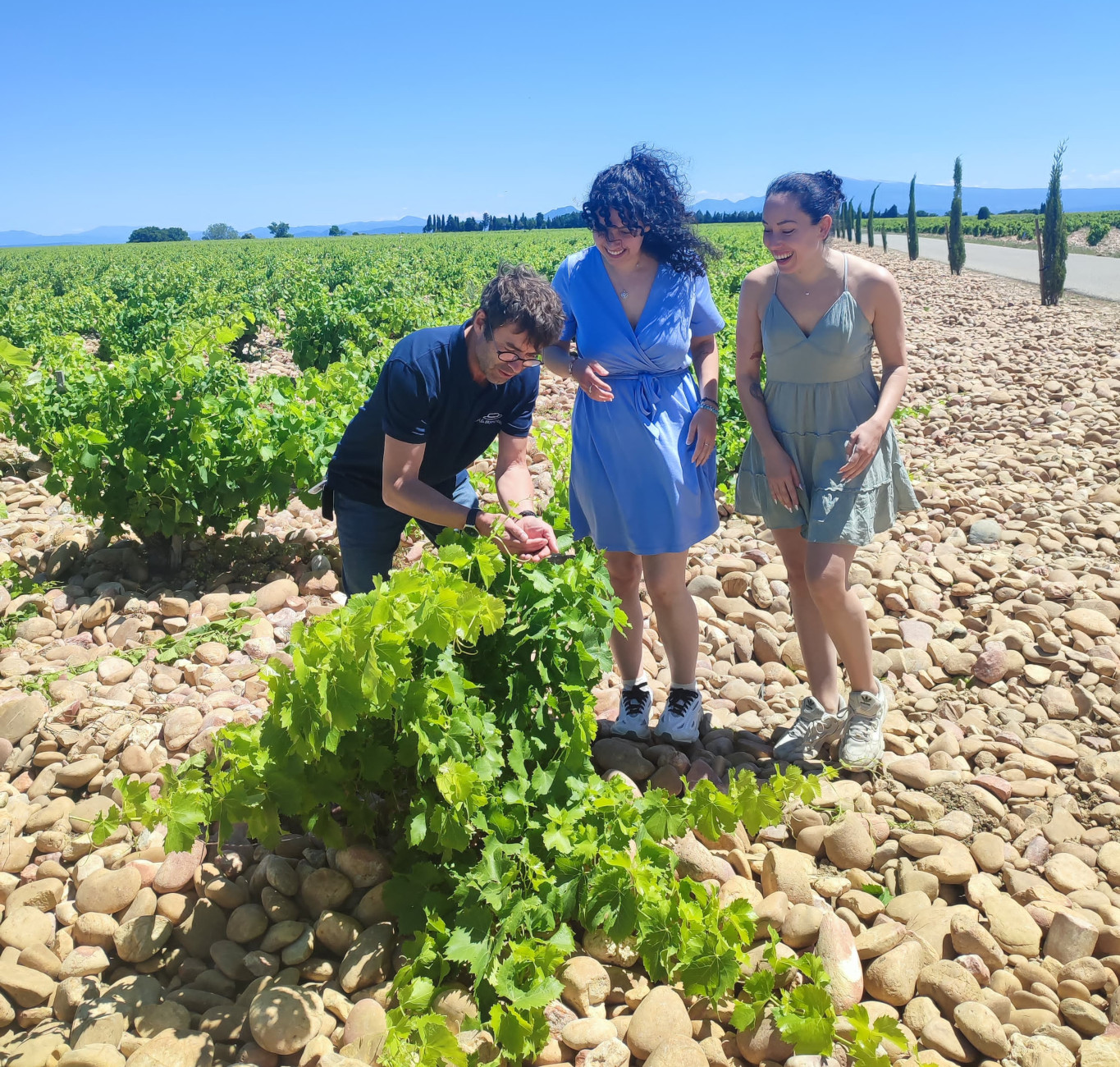 Un après-midi à Châteauneuf-du-Pape