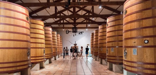 visite des caves de Chateauneuf-du-Pape