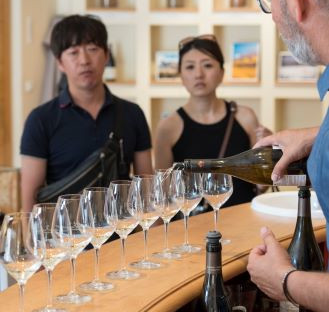 Les vignobles au pays de Cézanne en matinée