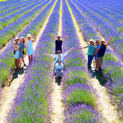 Tour Lavande Journée à Valensole